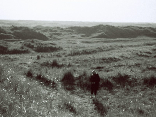 duinen_texel